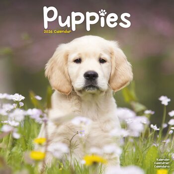 Календар 2027 Puppies