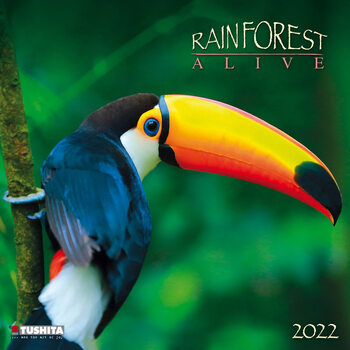 Календар 2027 Rainforest Alive