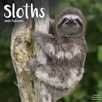 Календар 2027 Sloths