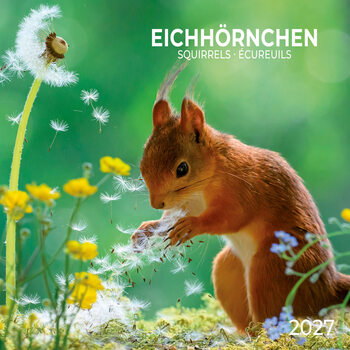 Календар 2027 Squirrel