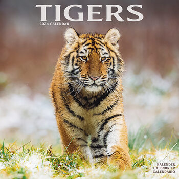 Календар 2027 Tigers