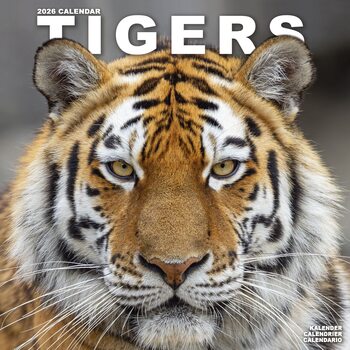 Календар 2027 Tigers