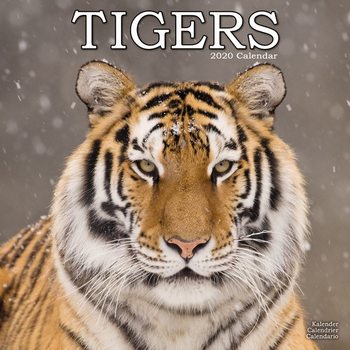 Календар 2027 Tigers