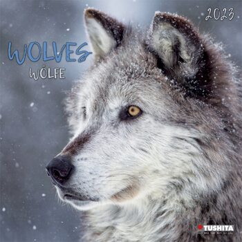 Календар 2027 Wolves