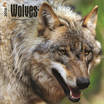 Календар 2027 Wolves