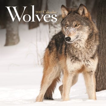 Календар 2027 Wolves