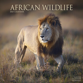 Calendar 2023 African Wildlife