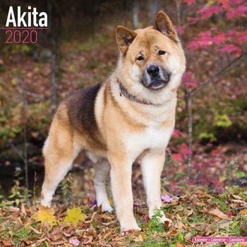 Calendar 2027 Akita