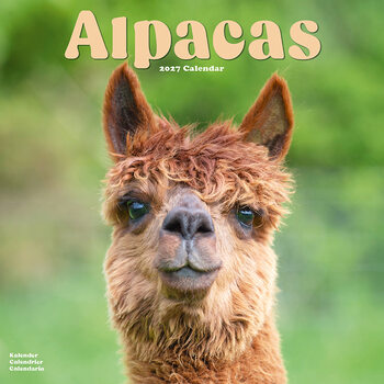 Calendar 2027 Alpacas