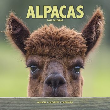 Calendar 2027 Alpacas