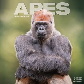 Ημερολόγιο 2027 Apes