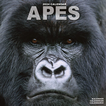 Calendar 2027 Apes