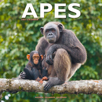 Calendar 2027 Apes