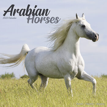 Calendar 2023 Arabian Horses