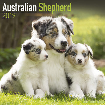 Ημερολόγιο 2027 Australian Shepherd