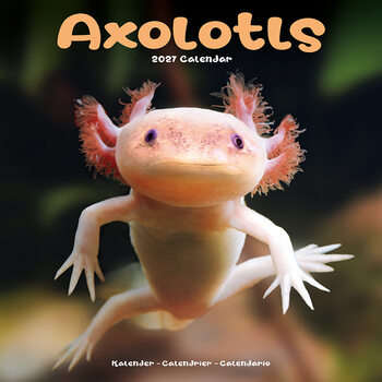 Calendar 2027 Axolotls