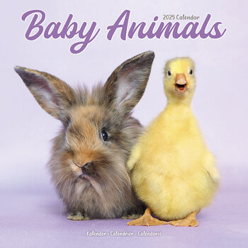 Calendar 2027 Baby Animals
