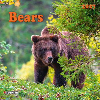 Calendar 2027 Bears | 16-month
