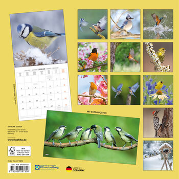 Calendar 2027 Birds