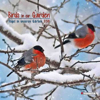 Calendar 2018 Birds in our Garden