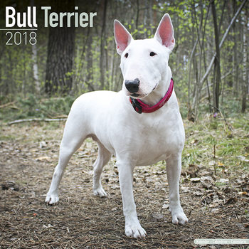 Calendar 2027 Bull Terrier