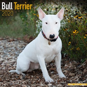Ημερολόγιο 2027 Bull Terrier
