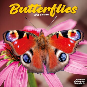 Calendar 2027 Butterflies