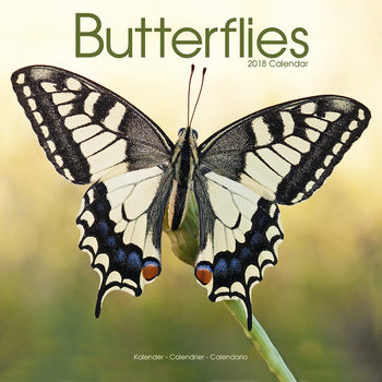 Calendar 2018 Butterflies