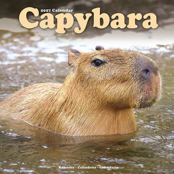 Calendar 2027 Capybaras