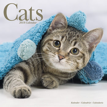 Calendar 2018 Cats