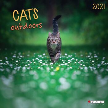Calendar 2027 Cats Outdoors