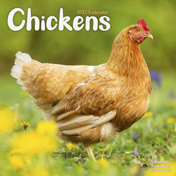 Calendar 2023 Chickens
