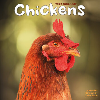 Calendar 2027 Chickens