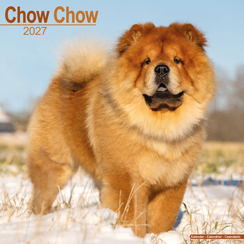Calendar 2027 Chow Chow
