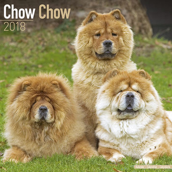 Ημερολόγιο 2027 Chow Chow