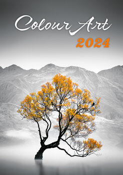 Calendar 2024 Colour Art