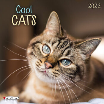 Calendar 2022 Cool Cats