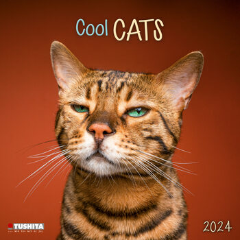 Calendar 2024 Cool Cats
