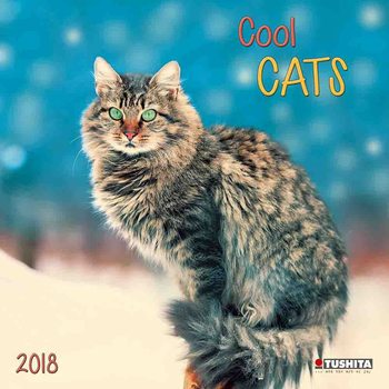 Calendar 2018 Cool Cats