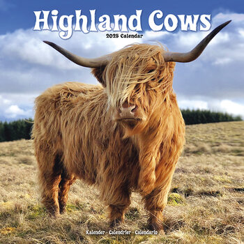 Calendar 2027 Cows - Highland