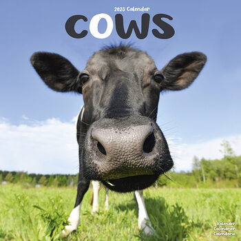 Calendar 2023 Cows