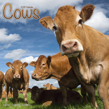 Calendar 2018 Cows