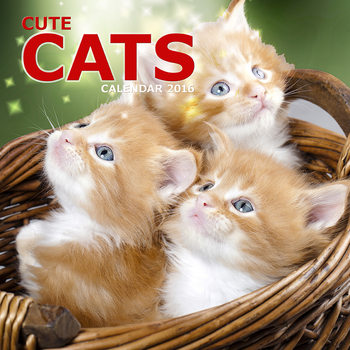 Calendar 2016 Cute Cats