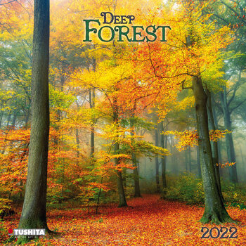 Calendar 2022 Deep Forest