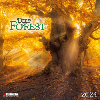 Calendar 2024 Deep Forest