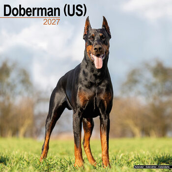 Calendar 2027 Doberman