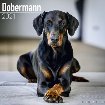 Ημερολόγιο 2027 Dobermann
