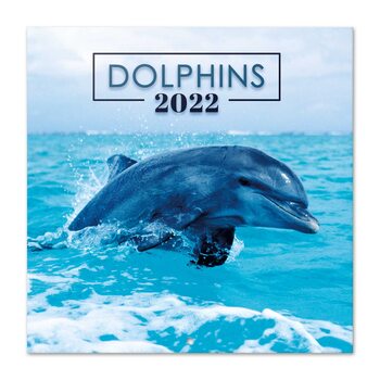 Calendar 2022 Dolphins