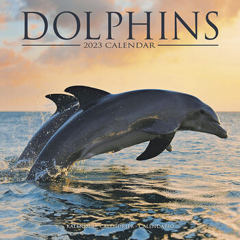 Calendar 2023 Dolphins