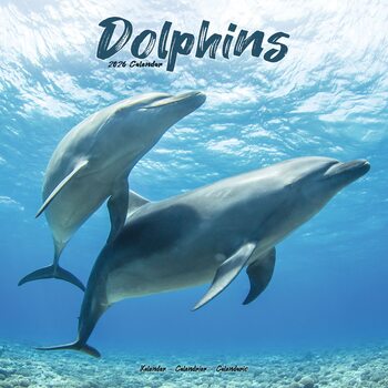 Ημερολόγιο 2026 Dolphins